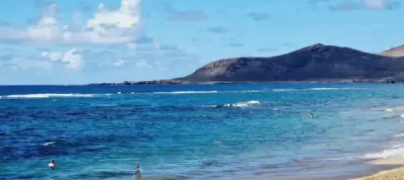 Bâtiment à Las Palmas De Gran Canaria, Spain 650m² No. 169766 5