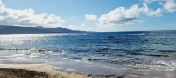 Bâtiment à Las Palmas De Gran Canaria, Spain 650m² No. 169766 4