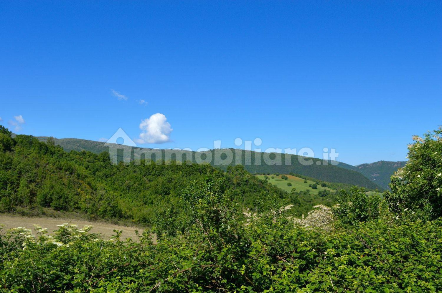  قطعة أرض في Pieve Torina, Italy 970000متر مربع رقم 127789