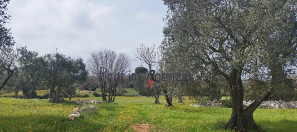 9 rooms House in Ceglie Messapica, Italy No. 75351 24