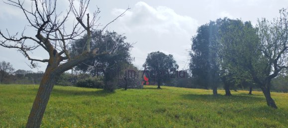 9 rooms House in Ceglie Messapica, Italy No. 75351 22