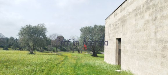 9 rooms House in Ceglie Messapica, Italy No. 75351 18