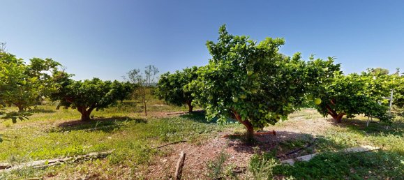 Apartamento T7 em Valencia, Spain N.º 145898 14