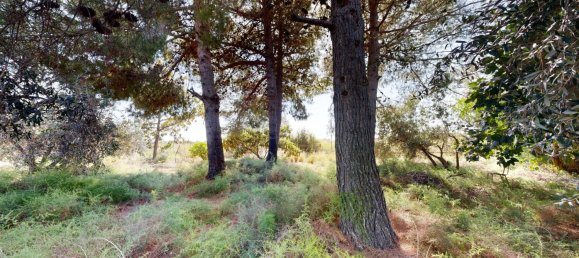 Apartamento T7 em Valencia, Spain N.º 145898 10