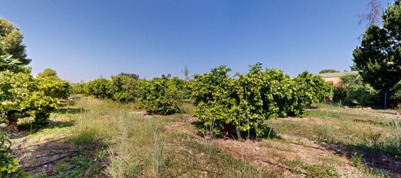 Apartamento T7 em Valencia, Spain N.º 145898 11