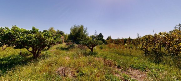 Apartamento T7 em Valencia, Spain N.º 145898 28