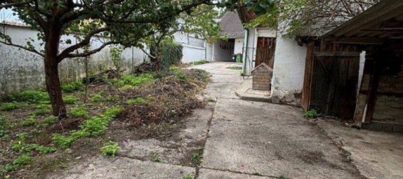 3-Zimmer Haus in Neusiedl an der Zaya, Austria, Nr. 210272 3