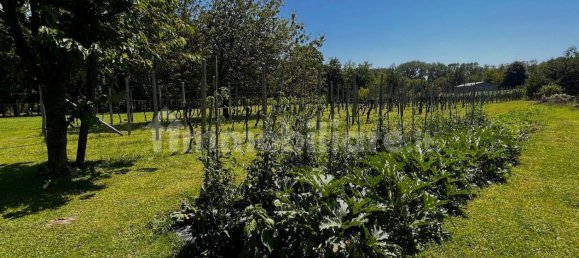 3 غرف نوم فيلا في Udine, Italy رقم 292381 14