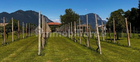 3 غرف نوم فيلا في Udine, Italy رقم 292381 17