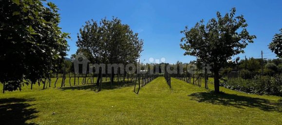 3 غرف نوم فيلا في Udine, Italy رقم 292381 13