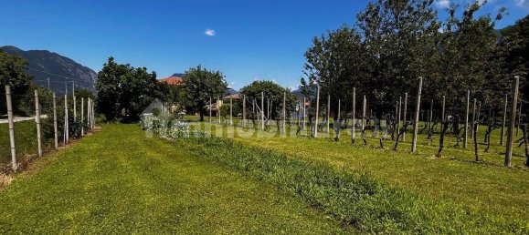 3 غرف نوم فيلا في Udine, Italy رقم 292381 15