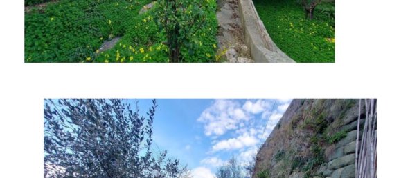 7 rooms House in Forio, Italy No. 225321 13