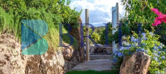 4 chambres Appartement à Olbia, Italy No. 59354 5