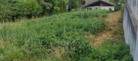  Land in Klosterneuburg, Austria No. 205684 2