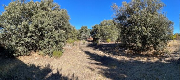  Land in Zarzuela Del Monte, Spain No. 90211 7