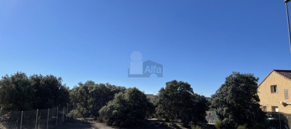  Land in Zarzuela Del Monte, Spain No. 90211 6