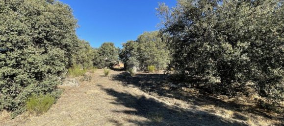  Land in Zarzuela Del Monte, Spain No. 90211 9