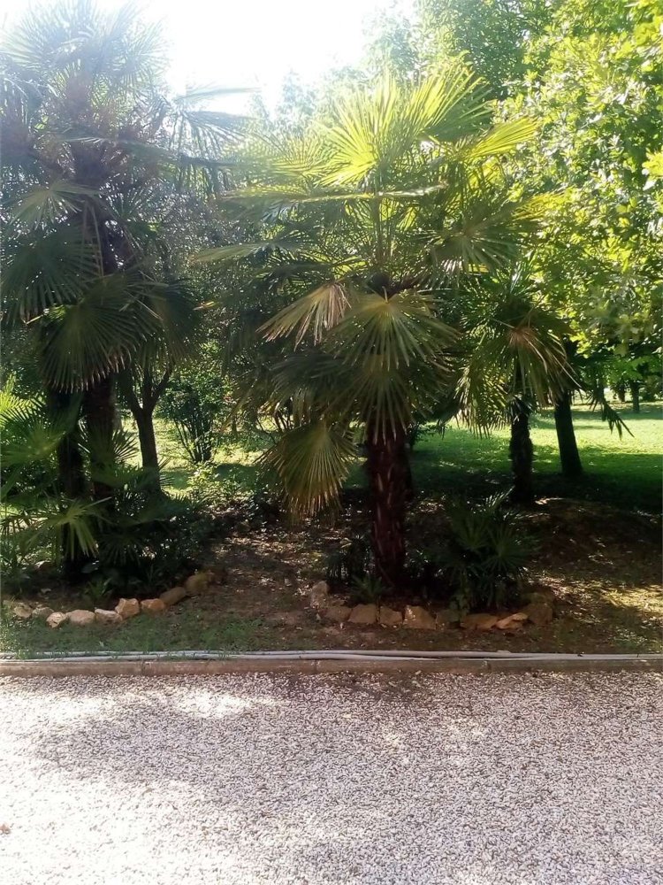 8 rooms Villa in Ravarino, Italy No. 103946