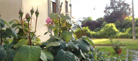 1 bedroom Apartment in Mondovì, Italy No. 296561 16