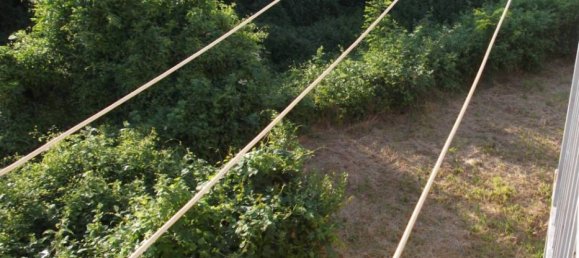 1 bedroom Apartment in Mondovì, Italy No. 296561 14