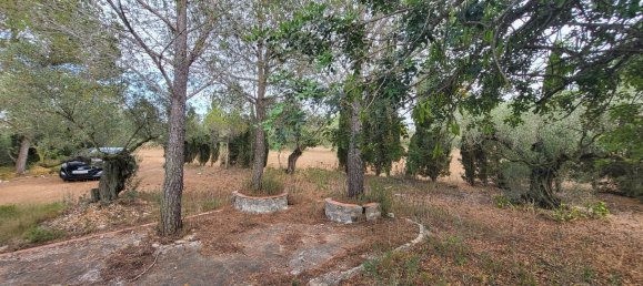 Земельный участок 4200м² в Рокетес, Испания № 155198 12