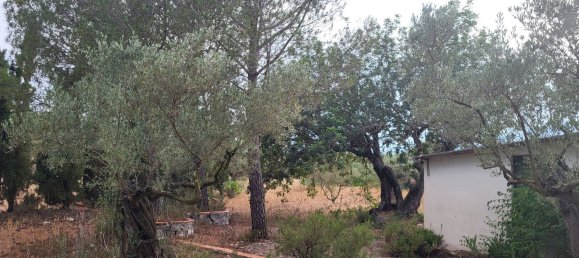 Земельный участок 4200м² в Рокетес, Испания № 155198 4