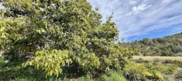 300m² Land in Altea, Spain No. 134881 7