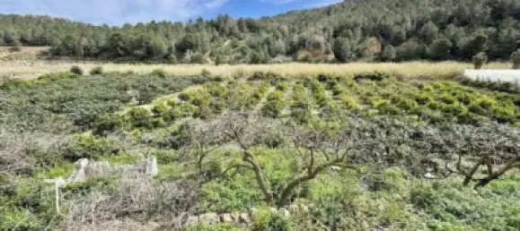 300m² Land in Altea, Spain No. 134881 15