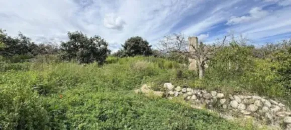 300m² Land in Altea, Spain No. 134881 16