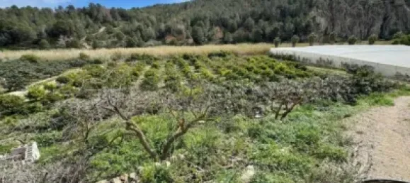 300m² Land in Altea, Spain No. 134881 10