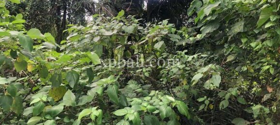 800m² Land in Gianyar, Indonesia No. 3741 8