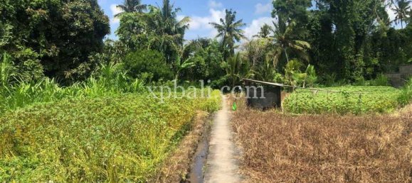 800m² Land in Gianyar, Indonesia No. 3741 3
