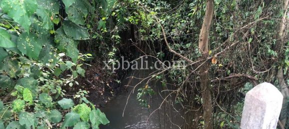 800m² Land in Gianyar, Indonesia No. 3741 9