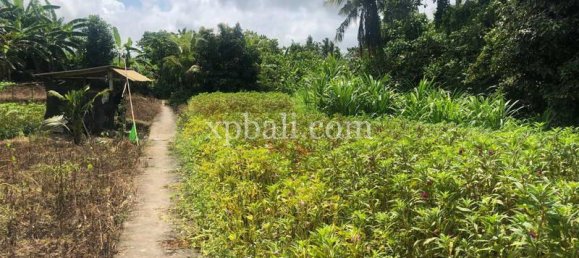 800m² Land in Gianyar, Indonesia No. 3741 2