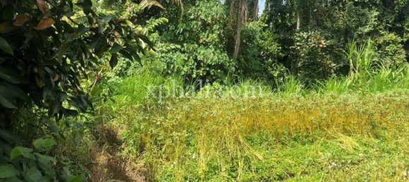 800m² Land in Gianyar, Indonesia No. 3741 13