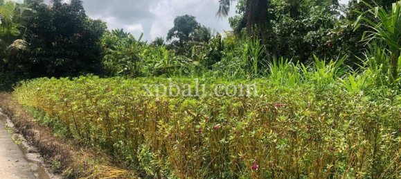 800m² Land in Gianyar, Indonesia No. 3741 10