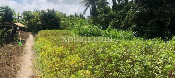 800m² Land in Gianyar, Indonesia No. 3741 5