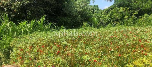 800m² Land in Gianyar, Indonesia No. 3741 4