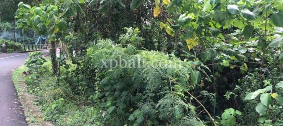 800m² Land in Gianyar, Indonesia No. 3741 6