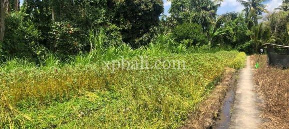 800m² Land in Gianyar, Indonesia No. 3741 7