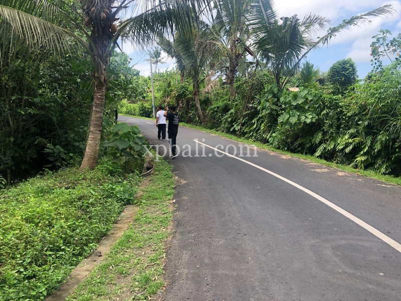 800m² Land in Gianyar, Indonesia No. 3741