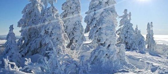 Квартира с 2 спальнями в Фрайунг-Графенау, Германия № 218405 18