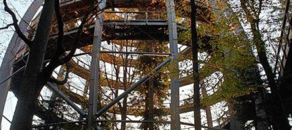 Квартира с 2 спальнями в Фрайунг-Графенау, Германия № 218405 17