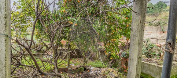 2 bedrooms House in Baiao, Portugal No. 181059 14