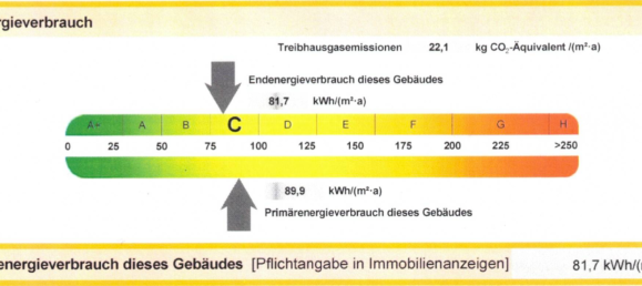 4-Zimmer Stadthaus in Leipzig, Germany, Nr. 354475 20