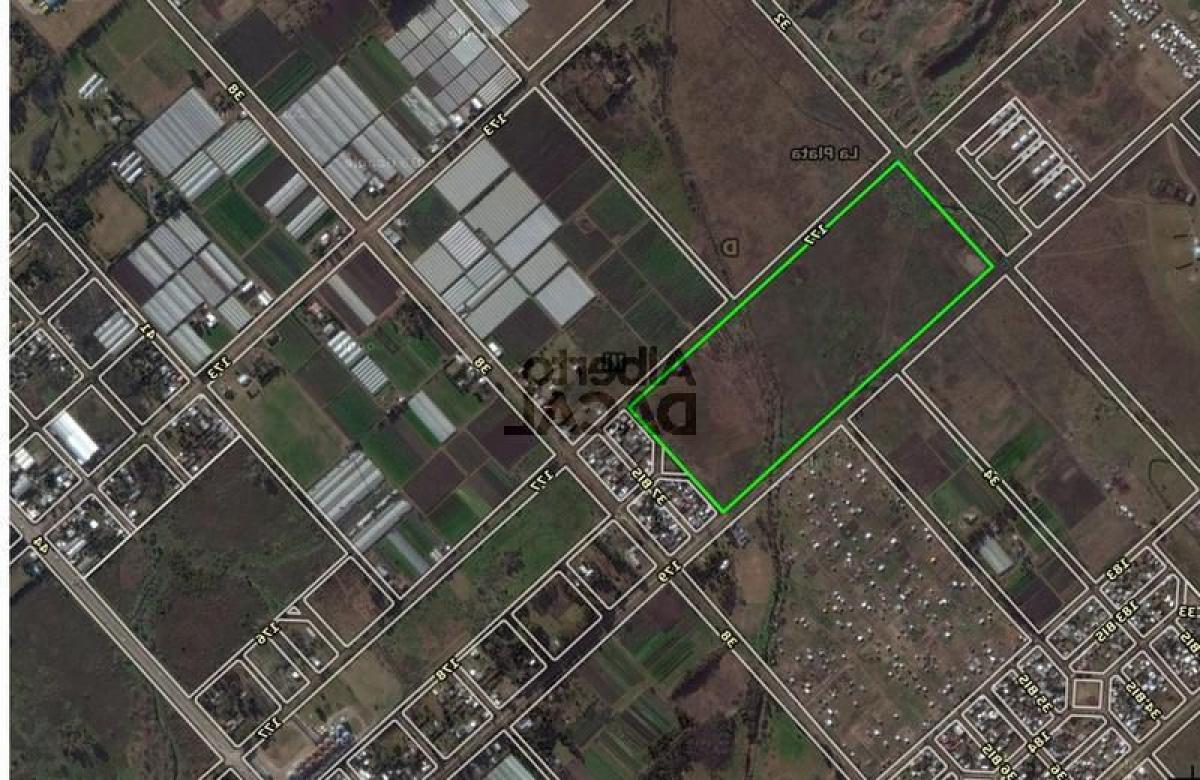  Land in Campo Creado, Argentina No. 32447