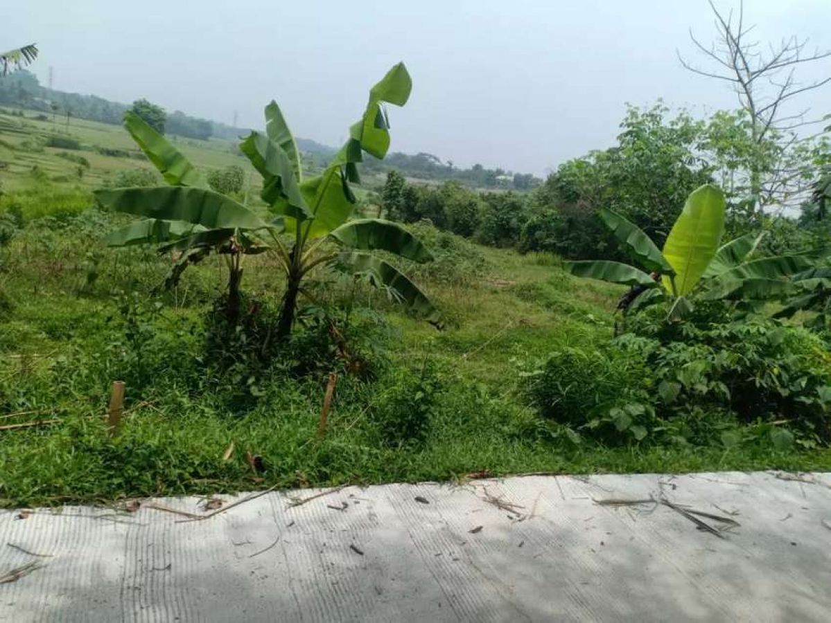  قطعة أرض في Cikande, Indonesia رقم 1513