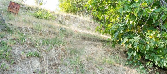 4 Schlafzimmer Haus in Tomar, Portugal, Nr. 265244 7