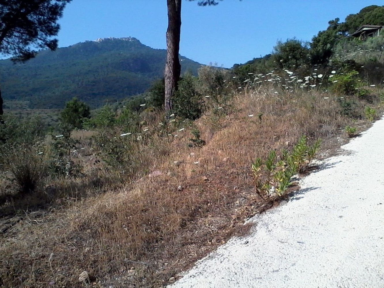 5780m² Land in Pollina, Italy No. 251820