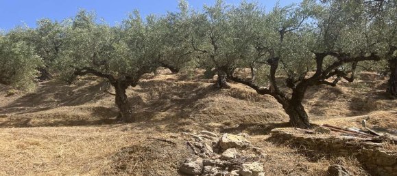  Hotel in Zakynthos, Greece No. 8629 13